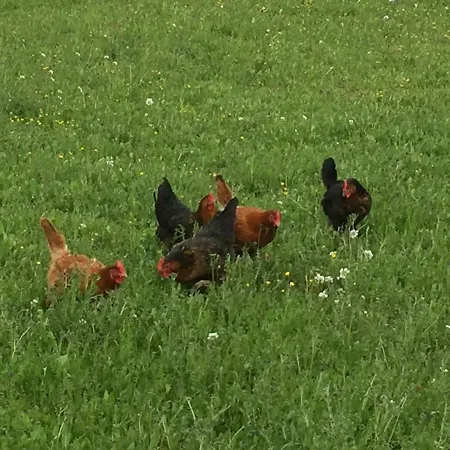 Апартаменты La Cebette *