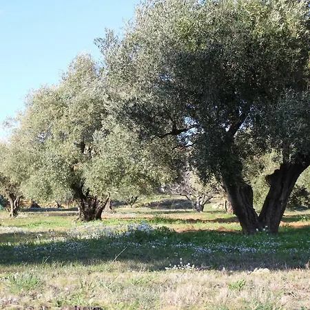 La Cebette Saint-Cyr-sur-Mer