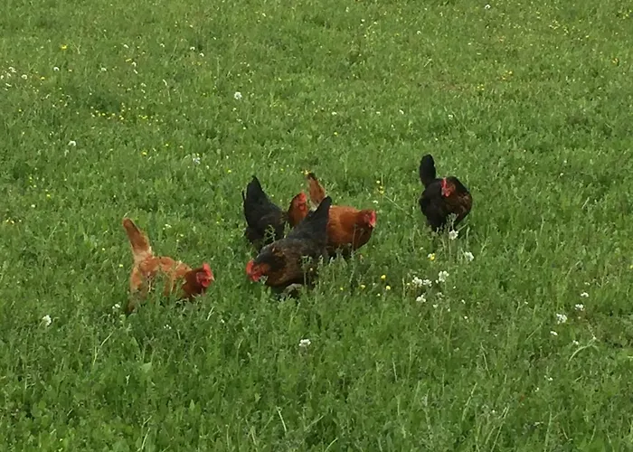 아파트 La Cebette *