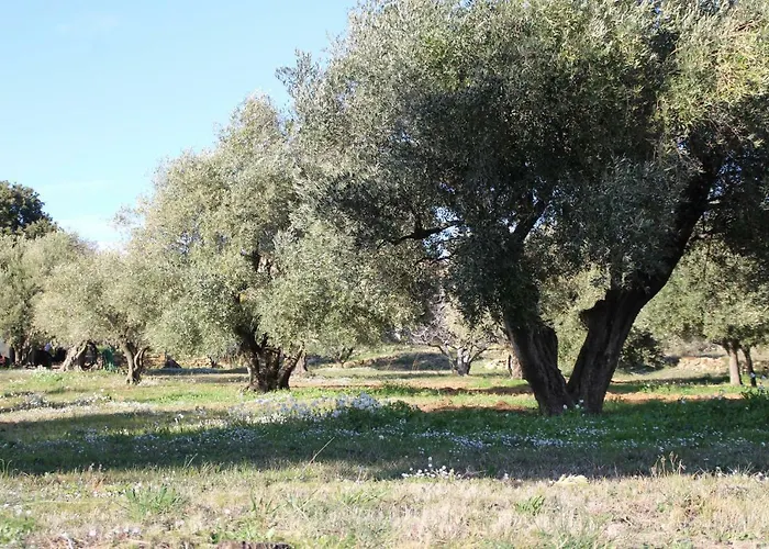 La Cebette 생시르쉬르메르